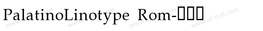 PalatinoLinotype Rom字体转换